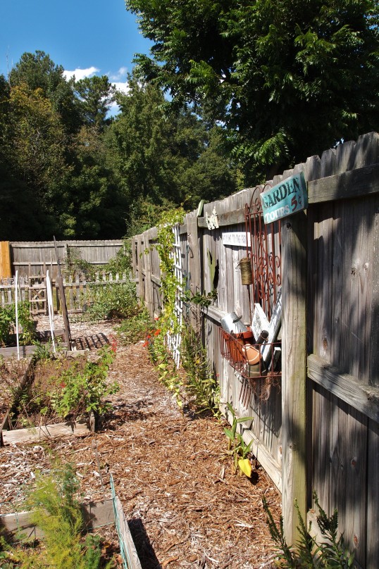 fence planting