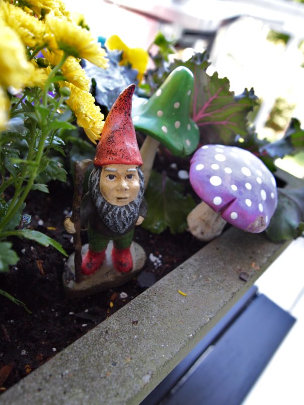 gnome decoration