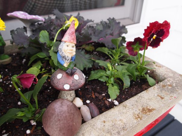 gnome on mushroom