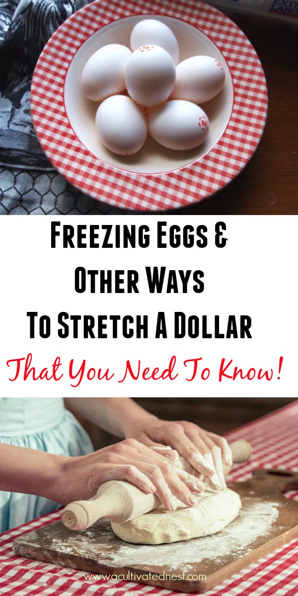 How To Stretch A Dollar - Freezing eggs & other money saving tips that you need to know! I'm always looking for ideas on how to stretch a dollar! So I found some money saving tips that were new to me and thought I'd share. #frugal #frugalliving #moneysavingtips #thrfity #acultivatednest