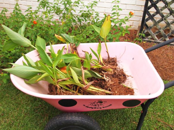 ladybug wheelbarrow