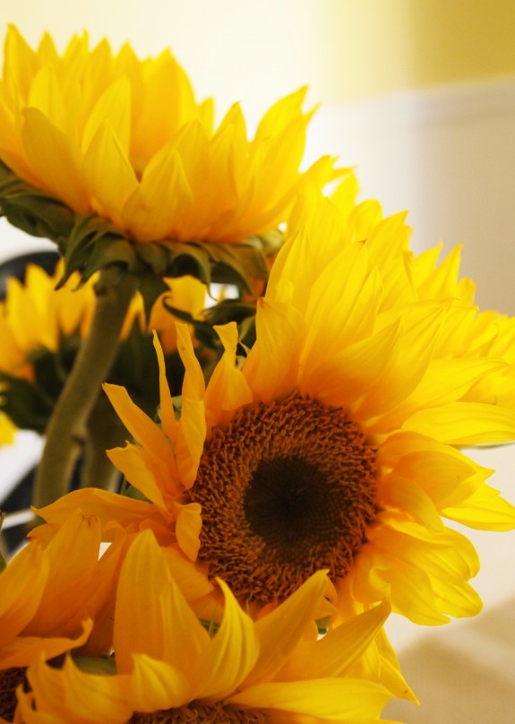 sunflowers via A Cultivated Nest