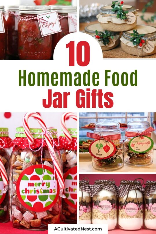 10 Homemade Gifts In A Jar From Your Kitchen A Cultivated Nest   Homemade Gifts In A Jar From Your Kitchen V2 539x808 