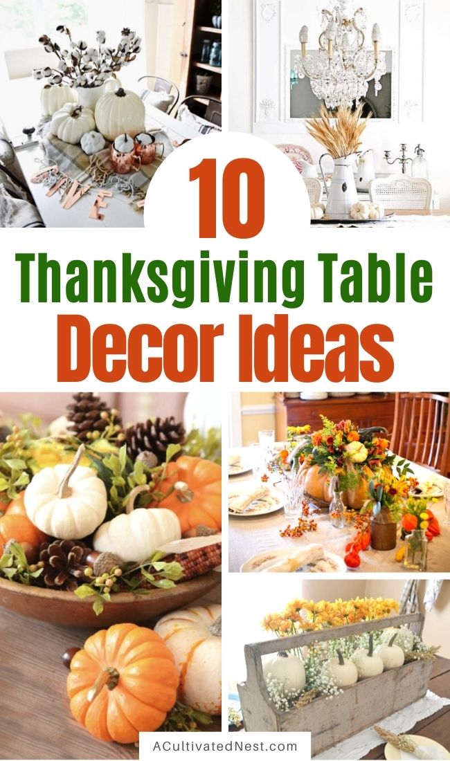 10 Inspired Ideas for Your Thanksgiving Table