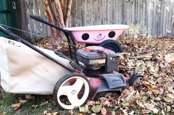 How to use leaves as mulch in the garden