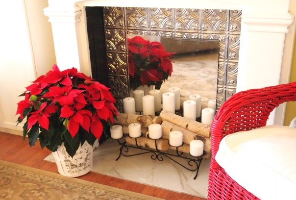 planter with poinsettia A Cultivated Nest