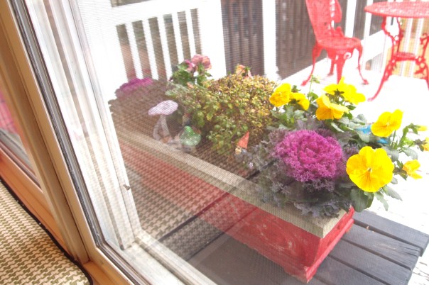 pansies in a windowbox