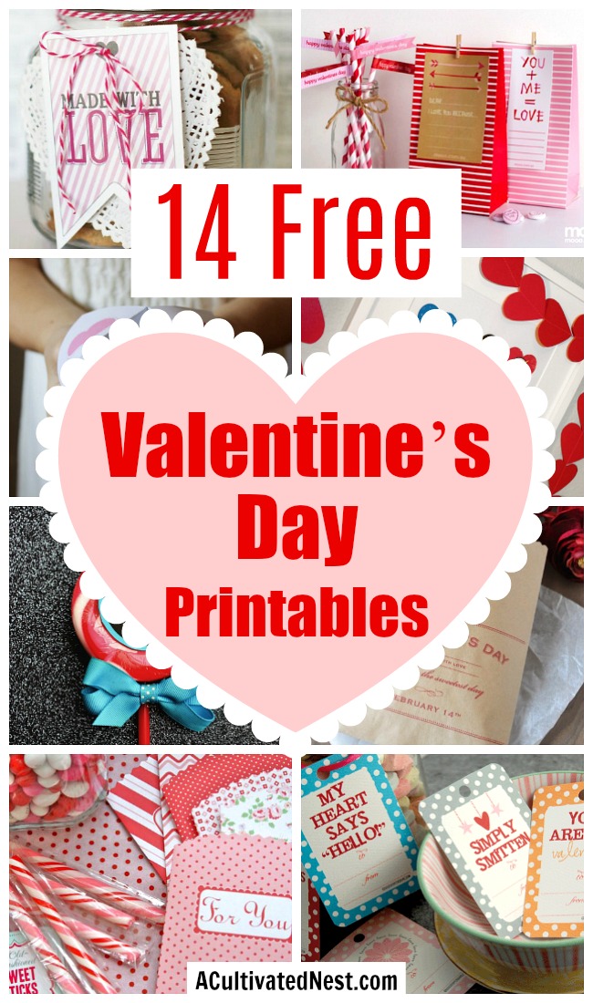 14 Free Valentine's Day Printables