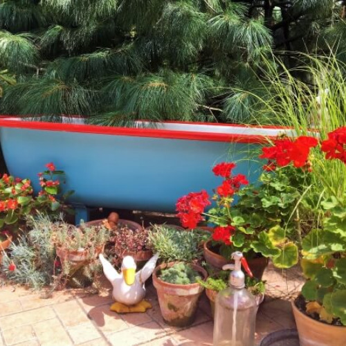 DIY Garden Bathtub- Using an old bathtub as a container garden is easy, beautiful, and useful, too. They can hold a lot of plants and enhance your design! | upcycle bathtub, recycle bathtub, ways to use a vintage bathtub, #gardeningTips #gardenDIY #containerGarden #gardeningDIY #ACultivatedNest