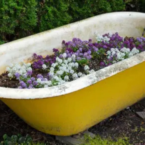 Making a Garden in a Bathtub- Using an old bathtub as a container garden is easy, beautiful, and useful, too. They can hold a lot of plants and enhance your design! | upcycle bathtub, recycle bathtub, ways to use a vintage bathtub, #gardeningTips #gardenDIY #containerGarden #gardeningDIY #ACultivatedNest