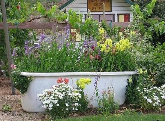 Repurposed Bathtub Container Garden- Using an old bathtub as a container garden is easy, beautiful, and useful, too. They can hold a lot of plants and enhance your design! | upcycle bathtub, recycle bathtub, ways to use a vintage bathtub, #gardeningTips #gardenDIY #containerGarden #gardeningDIY #ACultivatedNest