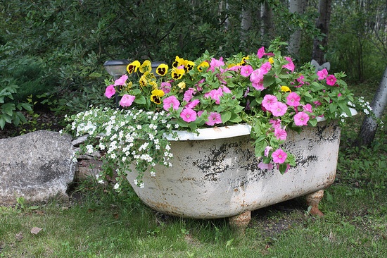 bathtub garden ideas