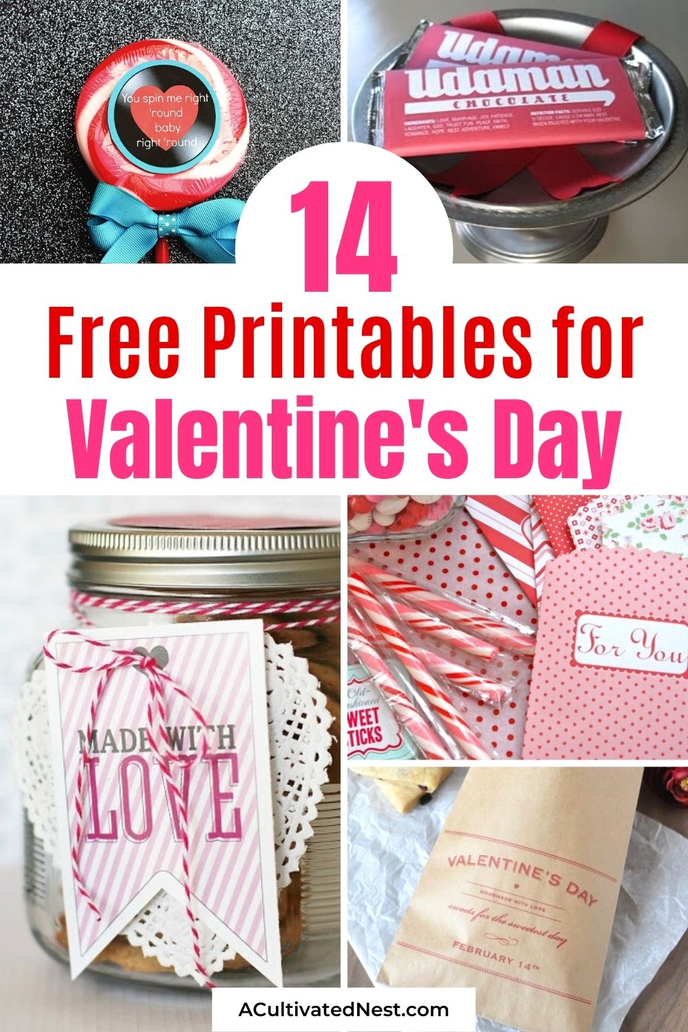 14 Free Valentine's Day Printables- Easily make Valentine's day special on a budget with these free Valentine's Day printables! This great roundup includes lovely free printable gift tags, wall art, and more! | #freePrintables #ValentinesDay #printables #giftTags #ACultivatedNest