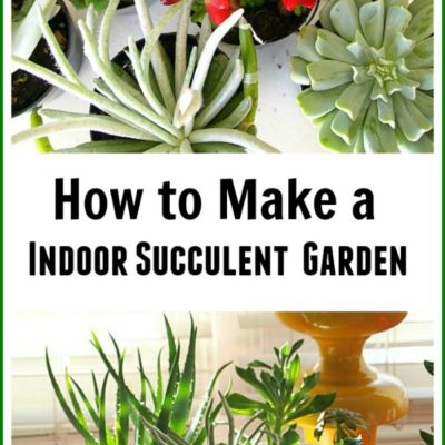 How to make an indoor succulent planter. Add life and beauty to your interiors with this no fuss house plant!