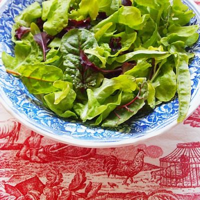 fresh picked bowl of salad greens