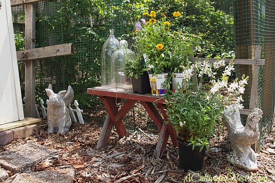 bench with flowers to be planted