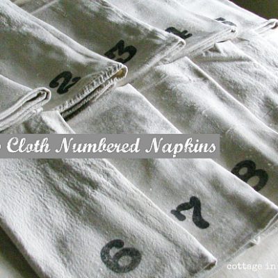 drop cloth numbered napkins