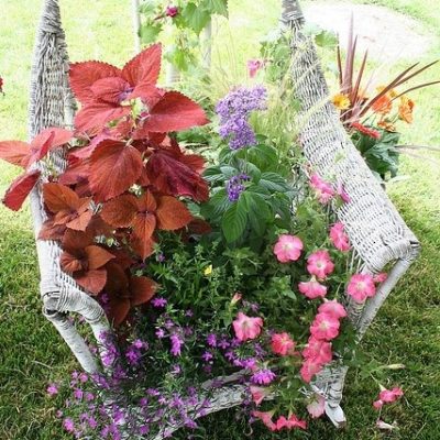 old chair used as a planter