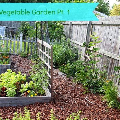 a cultivated nest raised bed vegetable garden