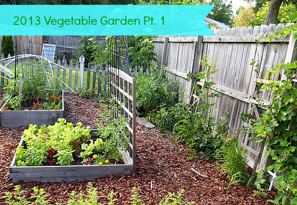 https://acultivatednest.com/wp-content/uploads/2013/06/backyard-vegetable-garden.jpg