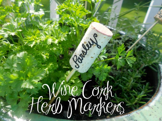 11 Creative Plant Marker Ideas- Wine cork herb markers | how to label plants in your garden, label your herbs #gardening #DIY #garden #craft