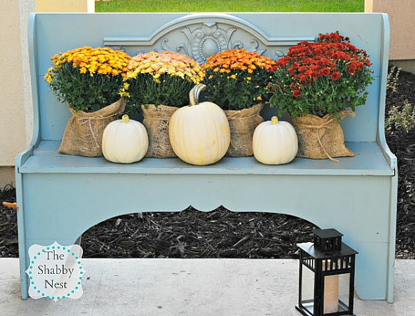 Autumn Decor with Mums- If you want an easy way to decorate your home for fall, you should get some mums! Check out these creative ideas for decorating with mums! | floral decoration, floral decor, easy ways to decorate your home for fall #decor #fall #autumn #flowers #mums #chrysanthemums #decorating #ACultivated Nest