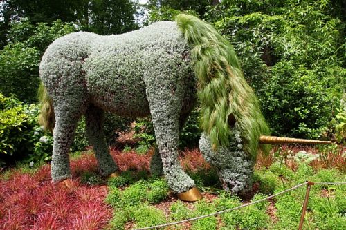 Garden Inspiration from the Atlanta Botanical Garden - A Cultivated Nest