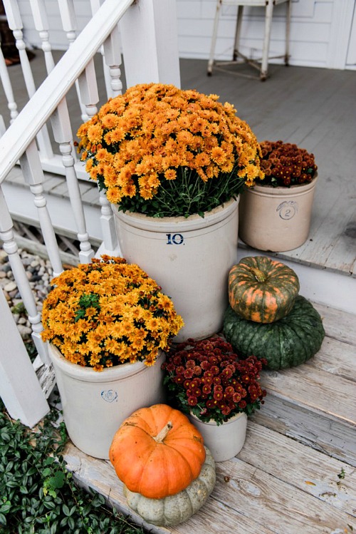 Fall Front Porch with Mums- If you want an easy way to decorate your home for fall, you should get some mums! Check out these creative ideas for decorating with mums! | floral decoration, floral decor, easy ways to decorate your home for fall #decor #fall #autumn #flowers #mums #chrysanthemums #decorating #ACultivated Nest