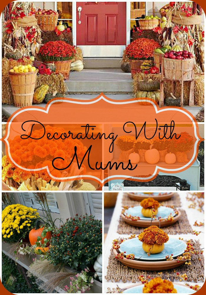 Decorating With Mums - Mums are the perfect flower to decorate your home for fall! If you're looking for some pretty fall mum decor inspiration, you have to check out these great ideas! | autumn decor, fall flowers, #flowers #decor #fall #autumn #decorating #mums #chrysanthemums