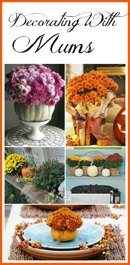 Decorating With Mums - Don't mums just say "Fall!" Here are few pretty ideas for how to use mums in your fall decor! | autumn decor, fall flowers, #flowers #decor #fall #autumn #decorating #mums #chrysanthemums