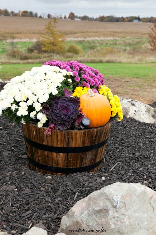 Decorate Your Home for Fall with Mums- If you want an easy way to decorate your home for fall, you should get some mums! Check out these creative ideas for decorating with mums! | floral decoration, floral decor, easy ways to decorate your home for fall #decor #fall #autumn #flowers #mums #chrysanthemums #decorating #ACultivated Nest