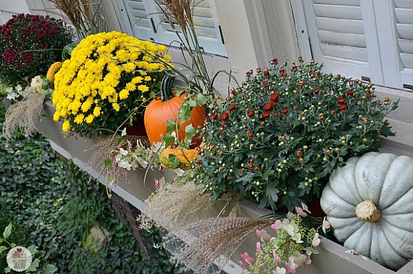 Using Mums in Fall Decorating- If you want an easy way to decorate your home for fall, you should get some mums! Check out these creative ideas for decorating with mums! | floral decoration, floral decor, easy ways to decorate your home for fall #decor #fall #autumn #flowers #mums #chrysanthemums #decorating #ACultivated Nest