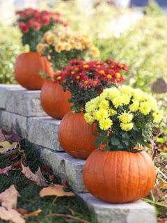 Decorate for Fall with Mums and Pumpkins- If you want an easy way to decorate your home for fall, you should get some mums! Check out these creative ideas for decorating with mums! | floral decoration, floral decor, easy ways to decorate your home for fall #decor #fall #autumn #flowers #mums #chrysanthemums #decorating #ACultivated Nest