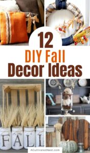 12 Simple Budget Friendly Fall Decorating Ideas- A Cultivated Nest