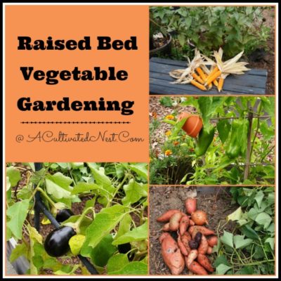 raised bed vegetable gardening