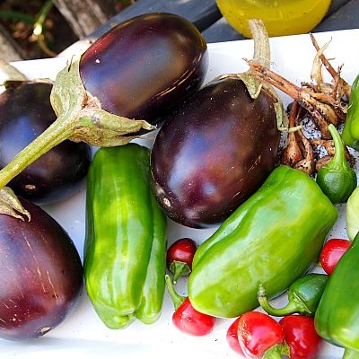 homegrown eggplants, bell peppers, shallots