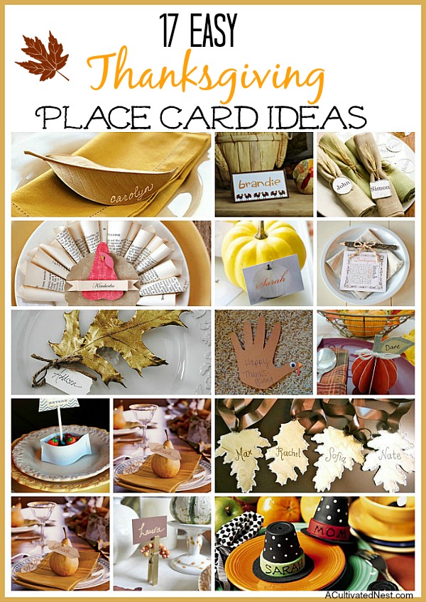17 DIY Thanksgiving Place Card Ideas