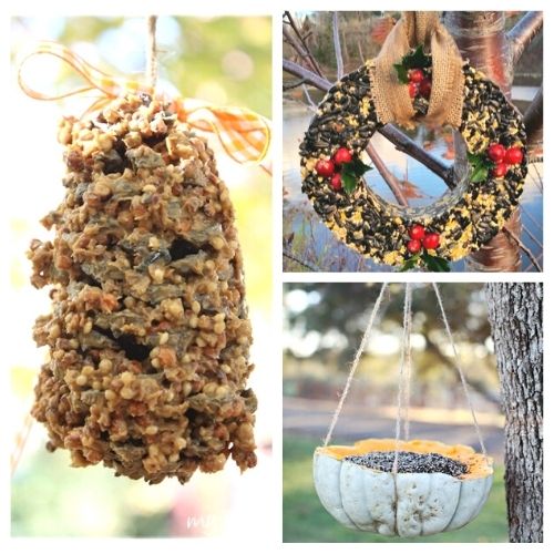 10 Homemade Birdseed Feeders- These 10 fun DIY birdseed feeders will help attract all kinds of beautiful birds to your yard! These make great kids crafts, too! | #kidsCrafts #birdseedFeeder #homemadeBirdFeeder #DIY #ACultivatedNest