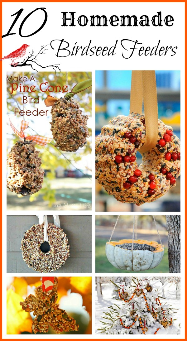 DIY Bird Feeders! Here are some ideas for homemade birdseed feeders that are fun for the whole family to make! | #birdFeeder #birdseed #crafts #birdseedFeeder #ACultivatedNest