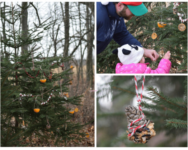 DIY Winter Bird Tree- These 10 fun DIY birdseed feeders will help attract all kinds of beautiful birds to your yard! These make great kids crafts, too! | #kidsCrafts #birdseedFeeder #homemadeBirdFeeder #DIY #ACultivatedNest