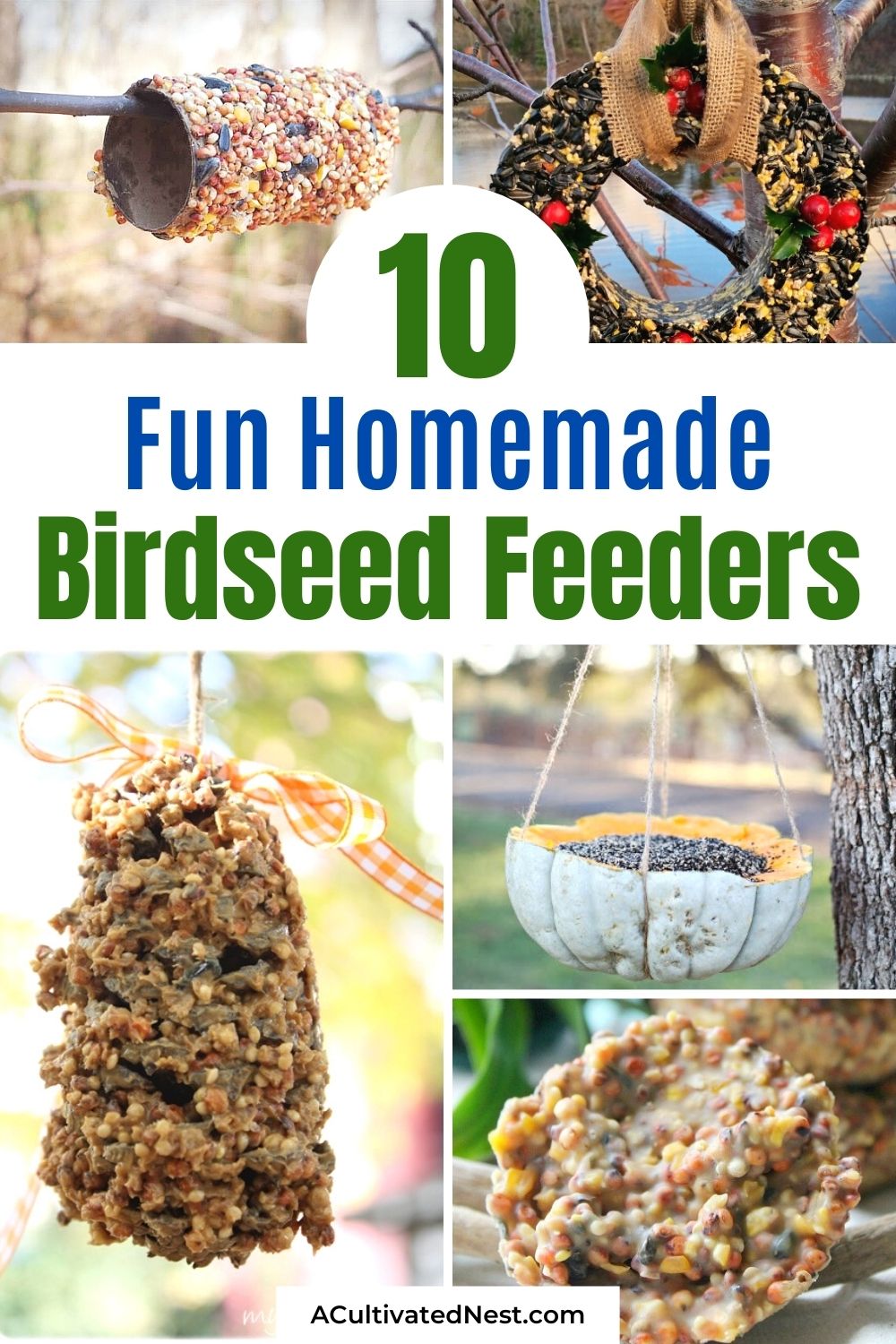 20 Homemade Birdseed Feeders