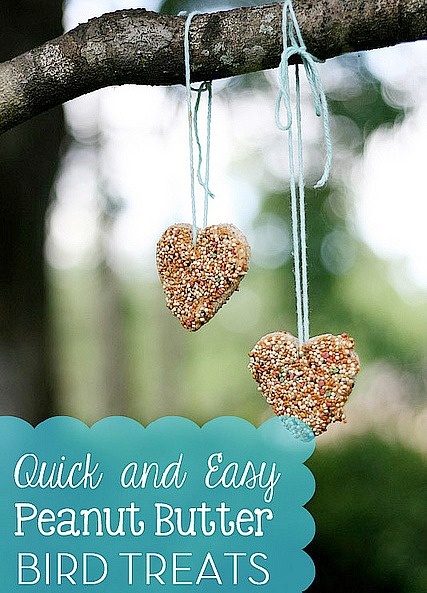 DIY Peanut Butter Bird Treats- These 10 fun DIY birdseed feeders will help attract all kinds of beautiful birds to your yard! These make great kids crafts, too! | #kidsCrafts #birdseedFeeder #homemadeBirdFeeder #DIY #ACultivatedNest