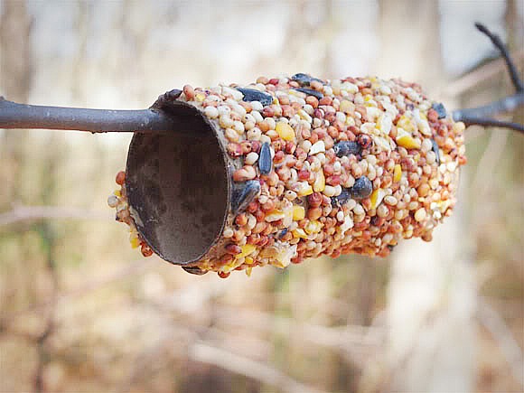 Toilet Paper Roll Birdseed Feeder Craft- These 10 fun DIY birdseed feeders will help attract all kinds of beautiful birds to your yard! These make great kids crafts, too! | #kidsCrafts #birdseedFeeder #homemadeBirdFeeder #DIY #ACultivatedNest