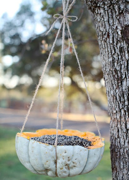 DIY Birdseed Filled Pumpkin- These 10 fun DIY birdseed feeders will help attract all kinds of beautiful birds to your yard! These make great kids crafts, too! | #kidsCrafts #birdseedFeeder #homemadeBirdFeeder #DIY #ACultivatedNest