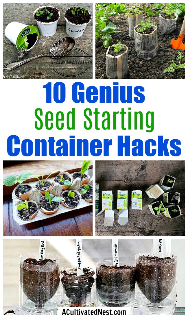 10 Creative Seed Starting Ideas
