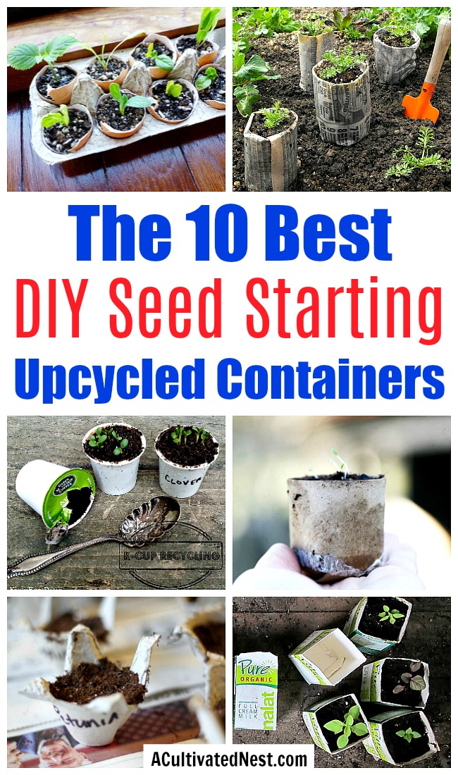 10 Creative Seed Starting Ideas- Start your seeds the frugal way with these 10 DIY upcycled seed starting containers! So many inexpensive everyday items can make great seed starters! | DIY seed starting container hacks, how to start seeds, frugal gardening, save money on gardening, gardening tips, upcycled seed starting containers, gardening hacks #gardening #seedStarting #ACultivatedNest