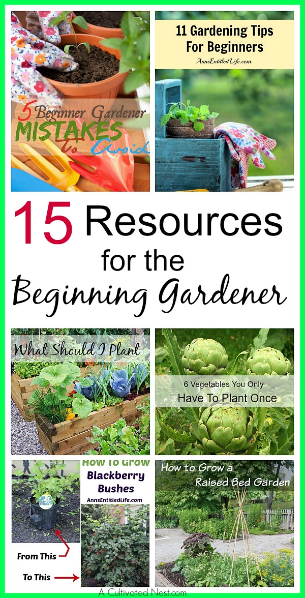 15 resources for the beginning gardener