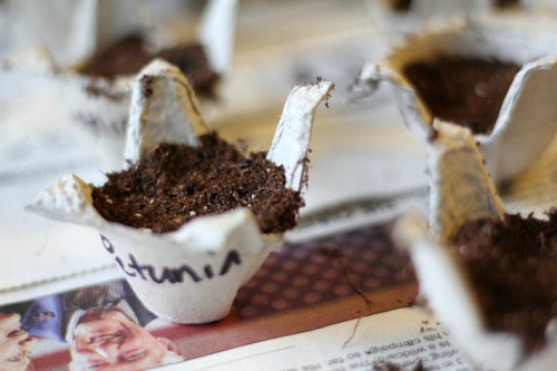 10 Upcycled Seed Starting Cup Ideas- Egg Carton- Start your seeds the frugal way with these 10 DIY upcycled seed starting containers! So many inexpensive everyday items can make great seed starters! | DIY seed starting container hacks, how to start seeds, frugal gardening, save money on gardening, gardening tips, upcycled seed starting containers, gardening hacks #gardening #seedStarting #ACultivatedNest