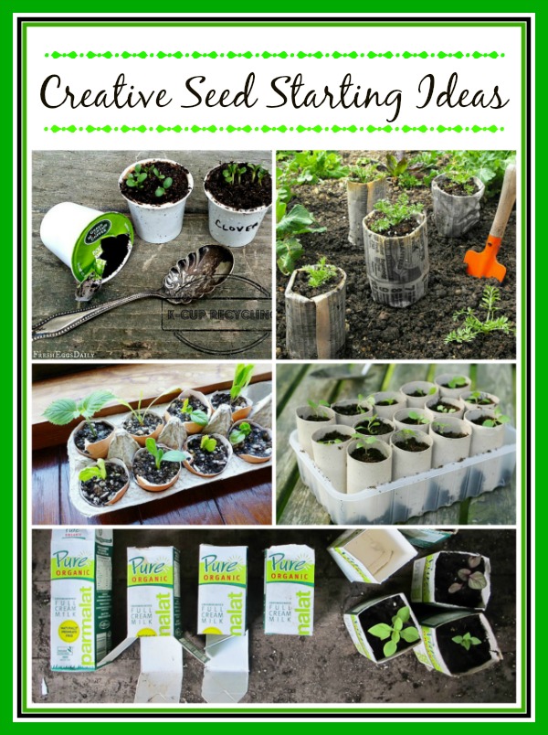 6 ways to make seedling containers to start your plants