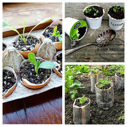 Cheap container gardening ideas, Coffee and Creamer Containers 